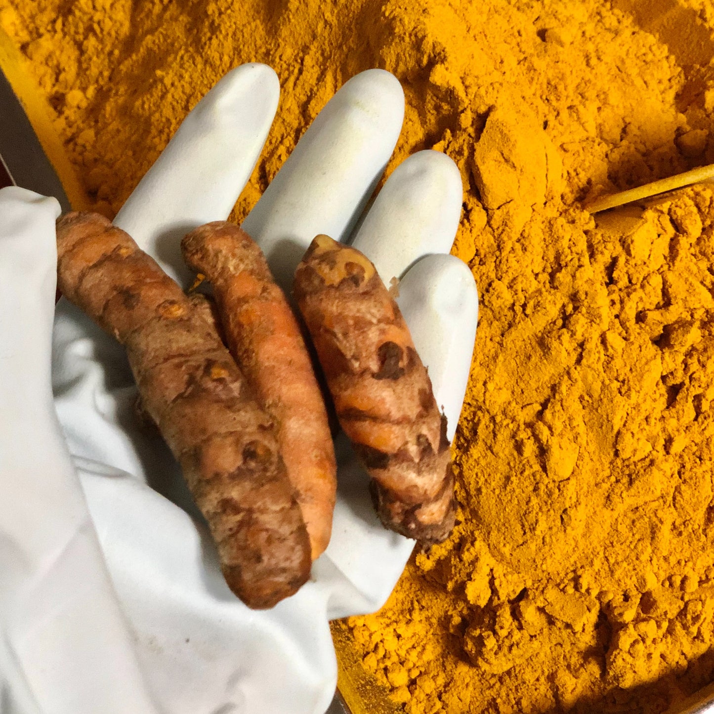 Turmeric Supplement Powder (130g)