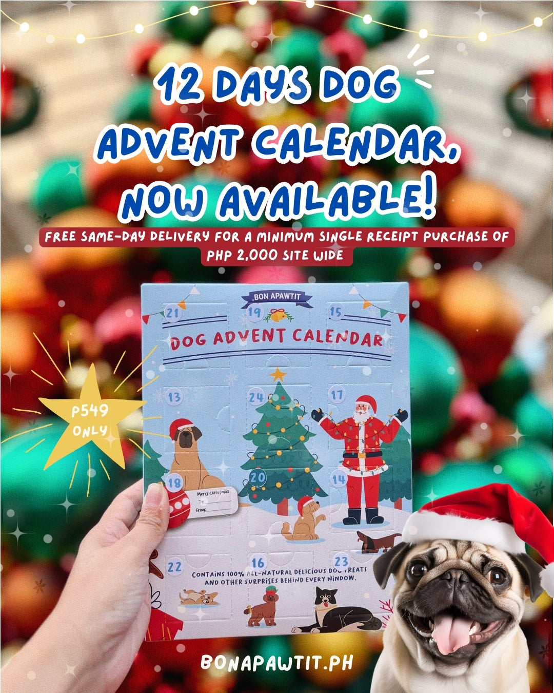 NEW! Dog Advent Calendar (12 days version)