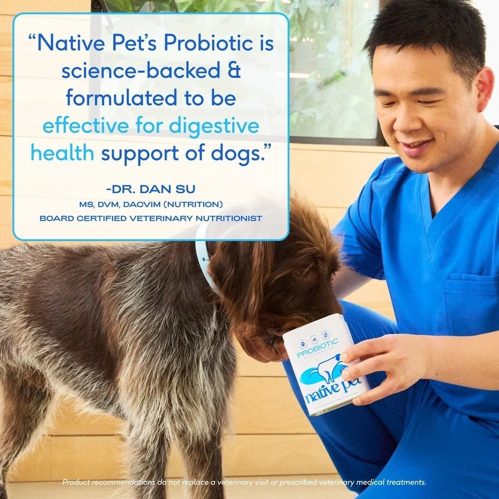 Native Pet Probiotics for Dogs- Dog Probiotic Powder for Gut & Digestive Health, Vet-Formulated 6B