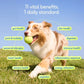 Native Pet The Daily All-in-one Supplement for Dogs