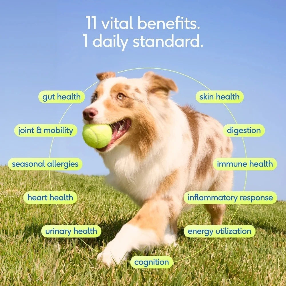 Native Pet The Daily All-in-one Supplement for Dogs