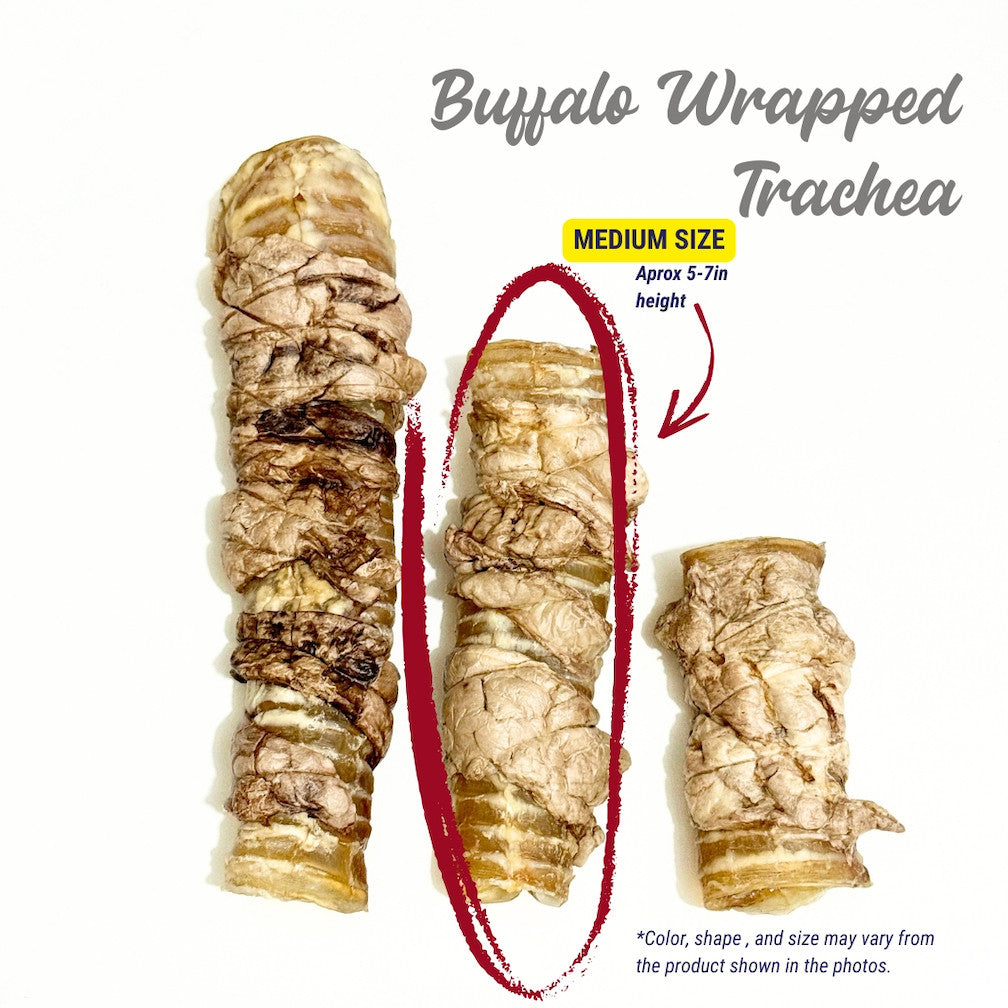 Dehydrated Buffalo Wrapped Trachea (Sold/pc)