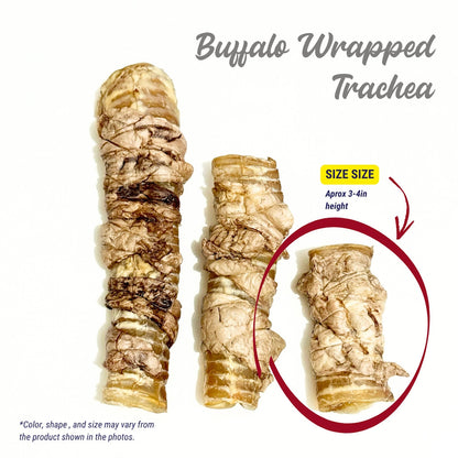 Dehydrated Buffalo Wrapped Trachea (Sold/pc)