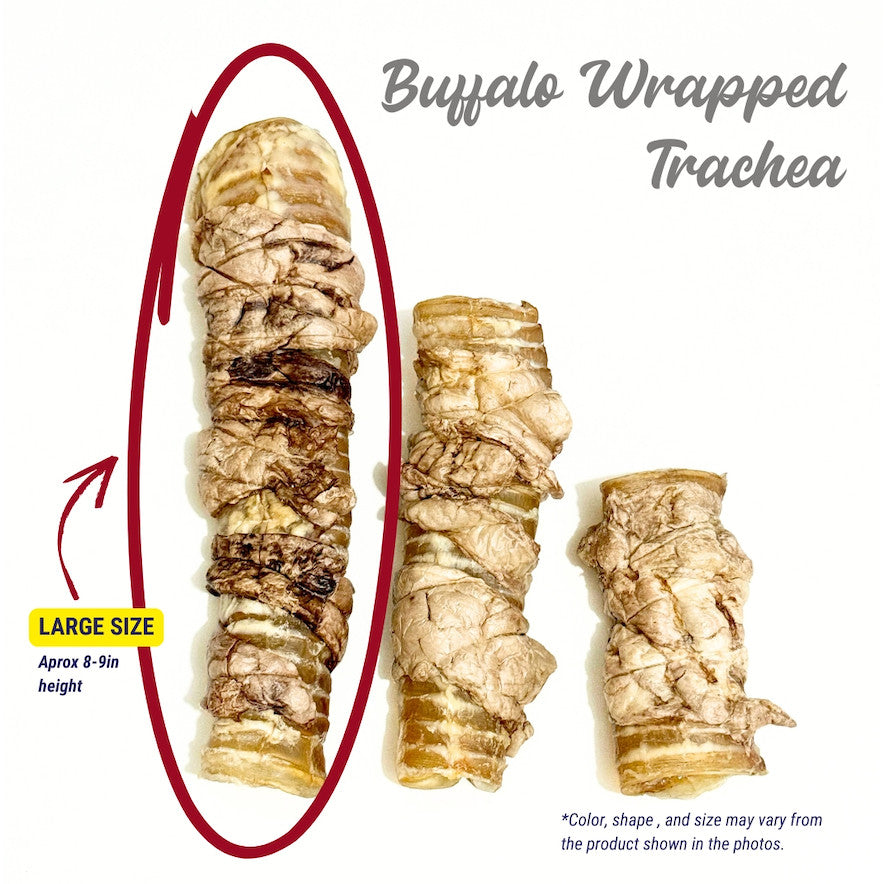 Dehydrated Buffalo Wrapped Trachea (Sold/pc)