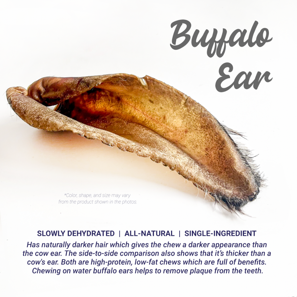 Dehydrated Buffalo Ear (Whole- Sold per pc)