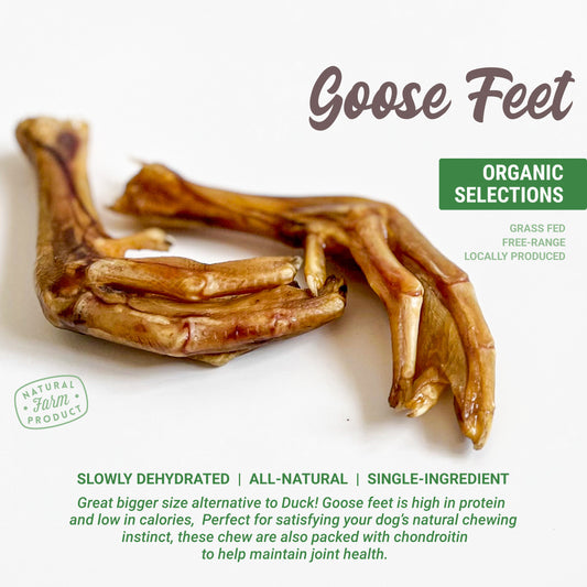Organic Goose Feet Dog Chew (Sold per pair)