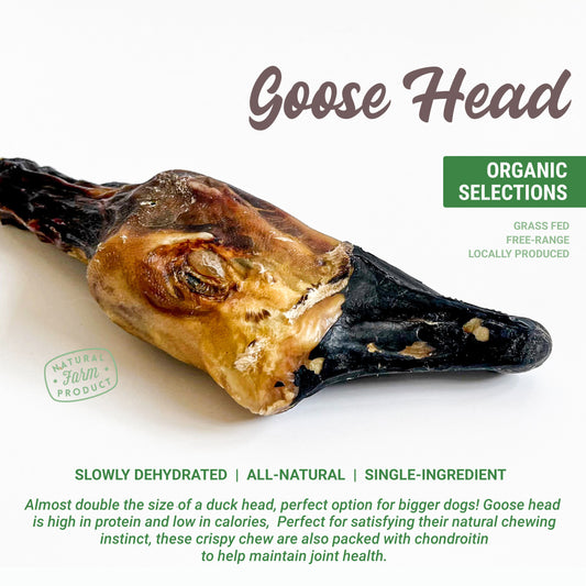 Organic Goose Head Dog Chew (Sold per pc)