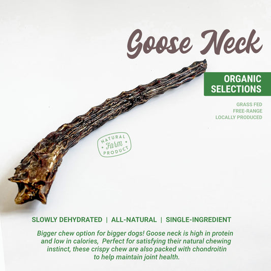 Organic Goose Neck Dog Chew (Sold per pc)