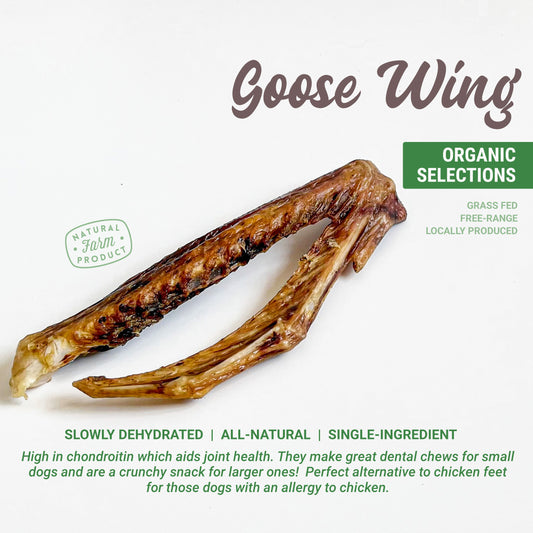 Organic Goose Wing Dog Chew (Sold per pc)