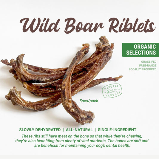 Organic Dehydrated Wild Boar Riblets Dog Chew (5pcs/pack)
