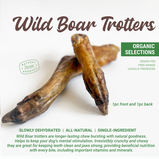 Organic Dehydrated Wild Boar Trotters Dog Chew (front and back pc/pack)