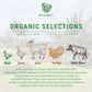 Organic Dehydrated Goose Jerky Dog Treats (50g)